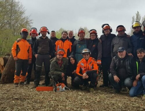 Coordinamento operatori forestali di Rieti: abilitate le prime 40 imprese