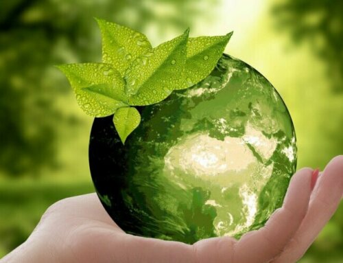 Confartigianato e UniTE per il Corso di Studi “Diritto dell’Energia e dell’Ambiente”